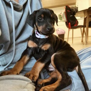 Kathleen - Female - $650
